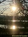 Filename=CIMG5428sw.jpg
Filesize=151KiB
Dimensions=768x1024
Date added=13/Jan/2012 CIMG5428sw.jpg