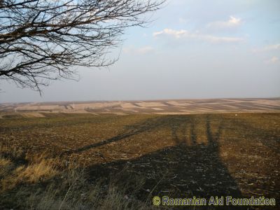 Looking east from Arborea Junction (293/70)
Keywords: Mar12;Arborea;Scenery