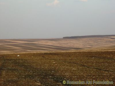 Landscape near Arborea
Looking eastwards from Arborea Junction (293/70)
Keywords: Mar12;Arborea;Scenery