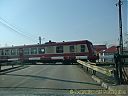 Filename=CIMG9735sw.jpg
Filesize=95KiB
Dimensions=1024x768
Date added=23/Mar/2012 CIMG9735sw.jpg