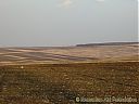 CIMG9743sw.jpg