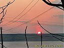 Filename=CIMG9745sw.jpg
Filesize=107KiB
Dimensions=1024x768
Date added=23/Mar/2012 CIMG9745sw.jpg