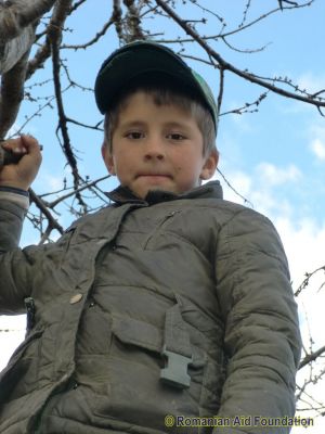 Keywords: Apr12;Fam-Iezer