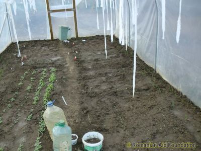 Polytunnel at Iezer, April'12
Keywords: Apr12;Fam-Iezer