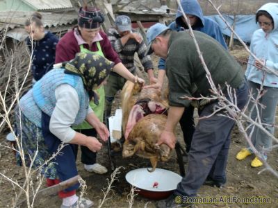 Preparing the Easter Pig
Keywords: Apr12;FoodPrep;Scenes