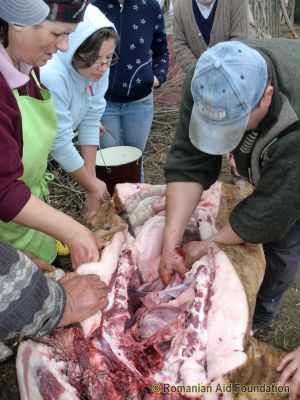 Preparing the Easter Pig
Keywords: Apr12;FoodPrep;Scenes