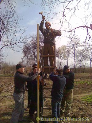 Hen run under construction
Keywords: Apr12;Fam-Iezer;Fam-Iezer