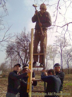 Hen run under construction
Keywords: Apr12;Fam-Iezer;Fam-Iezer