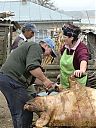 Filename=CIMG9901sw.jpg
Filesize=148KiB
Dimensions=768x1024
Date added=14/Apr/2012 CIMG9901sw.jpg