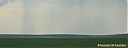 CIMG9942sw.jpg