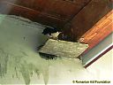 Filename=1205m019sw.jpg
Filesize=112KiB
Dimensions=1024x768
Date added=31/May/2012 1205m019sw.jpg