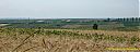 Filename=CIMG9867pw.jpg
Filesize=60KiB
Dimensions=1024x384
Date added=10/Aug/2012 CIMG9867pw.jpg