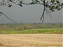 Filename=CIMG9902sw.jpg
Filesize=127KiB
Dimensions=1024x768
Date added=10/Aug/2012 CIMG9902sw.jpg
