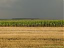 Filename=CIMG9904sw.jpg
Filesize=174KiB
Dimensions=1024x768
Date added=10/Aug/2012 CIMG9904sw.jpg