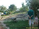 Filename=1208a931sw.jpg
Filesize=166KiB
Dimensions=1024x768
Date added=27/Aug/2012 1208a931sw.jpg
