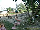 Filename=1208a932sw.jpg
Filesize=173KiB
Dimensions=1024x768
Date added=27/Aug/2012 1208a932sw.jpg