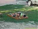 Filename=1208a933sw.jpg
Filesize=160KiB
Dimensions=1024x768
Date added=27/Aug/2012 1208a933sw.jpg