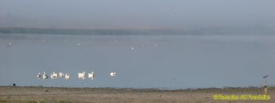 Lakeside at Tataraseni
Keywords: Sep12;Scenery;Tataraseni