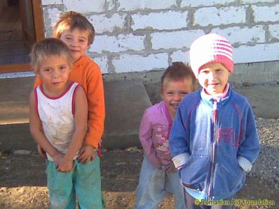 Keywords: Oct12;Fam-Iezer