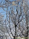 Filename=CIMG0715sw.jpg
Filesize=292KiB
Dimensions=768x1024
Date added=11/Jan/2013 CIMG0715sw.jpg