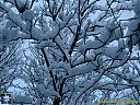 Filename=CIMG0850sw.jpg
Filesize=206KiB
Dimensions=1024x768
Date added=01/Mar/2013 CIMG0850sw.jpg
