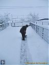 Filename=CIMG0857sw.jpg
Filesize=93KiB
Dimensions=768x1024
Date added=01/Mar/2013 CIMG0857sw.jpg