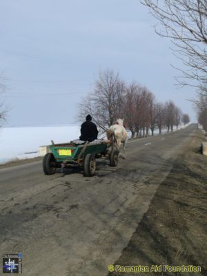 Winter Scenery
Keywords: Mar13