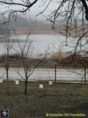 Winter Scenery
Keywords: Mar13