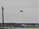 CIMG1122sw.jpg