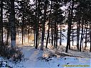 Filename=SF1303m088sw.jpg
Filesize=250KiB
Dimensions=1024x768
Date added=13/May/2013 SF1303m088sw.jpg