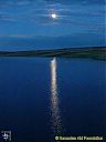 Filename=CIMG1552sw.jpg
Filesize=71KiB
Dimensions=768x1024
Date added=03/Jun/2013 CIMG1552sw.jpg
