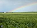 Filename=CIMG1911sw.jpg
Filesize=100KiB
Dimensions=1024x768
Date added=03/Jun/2013 CIMG1911sw.jpg