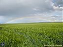 Filename=CIMG1914sw.jpg
Filesize=123KiB
Dimensions=1024x768
Date added=03/Jun/2013 CIMG1914sw.jpg