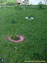 Filename=CIMG1927sw.jpg
Filesize=187KiB
Dimensions=768x1024
Date added=03/Jun/2013 CIMG1927sw.jpg