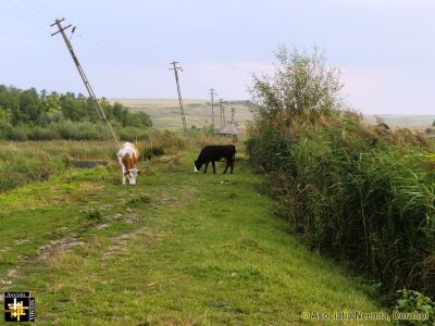 Keywords: Sep13;Scenery