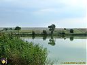 Filename=CIMG3439sw.jpg
Filesize=127KiB
Dimensions=1024x768
Date added=26/Sep/2013 CIMG3439sw.jpg