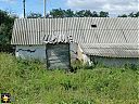 Filename=CIMG3508sw.jpg
Filesize=252KiB
Dimensions=1024x768
Date added=26/Sep/2013 CIMG3508sw.jpg