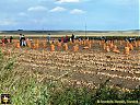 Filename=CIMG3520sw.jpg
Filesize=291KiB
Dimensions=1024x768
Date added=26/Sep/2013 CIMG3520sw.jpg