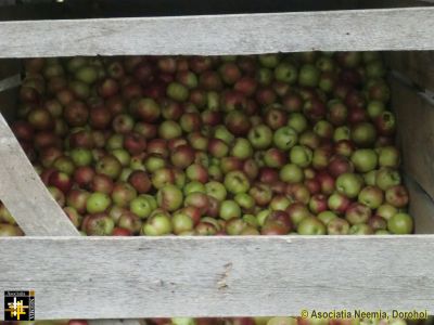 Keywords: Oct13;Harvest
