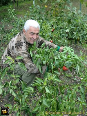 Keywords: Oct13;Seeds;Harvest