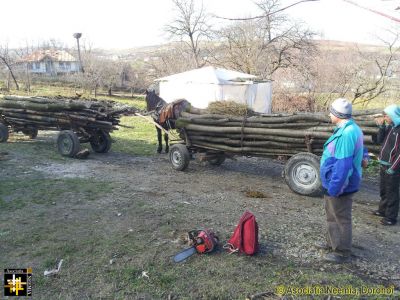 Winter Fuel
Keywords: Nov13;Wood;