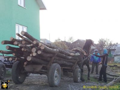 Winter Fuel
Keywords: Nov13;Fam-Saucenita;Wood