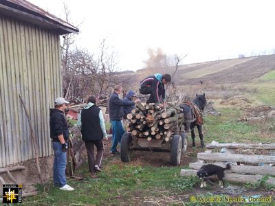 Winter Fuel
Keywords: Nov13;Fam-Horlaceni;wood