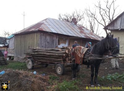 Winter Fuel
Keywords: Nov13;Fam-Horlaceni;wood