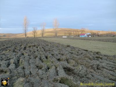 Preparing for Next Spring
