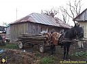 Filename=BM162619sw.jpg
Filesize=180KiB
Dimensions=1024x755
Date added=28/Jan/2014 BM162619sw.jpg
