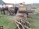 Filename=BM163643sw.jpg
Filesize=167KiB
Dimensions=1024x768
Date added=28/Jan/2014 BM163643sw.jpg