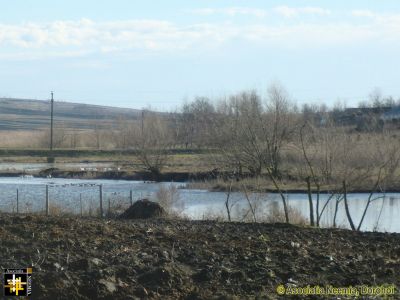 Lake at Balinti
Keywords: Jan14;Scenery