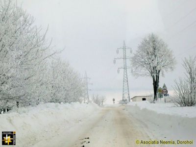 DJ298A, adjacent to Mileanca junction
DJ298A Havirna - Darabani, adjacent to Mileanca junction
Keywords: Feb14;Scenery