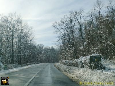 Forest near Adancanta
DN29A Dorohoi - Suceava
Keywords: Feb14;Scenery